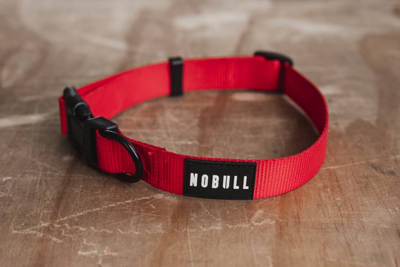 NOBULL 80NJ2963collare per cani (1 pollice) rosso