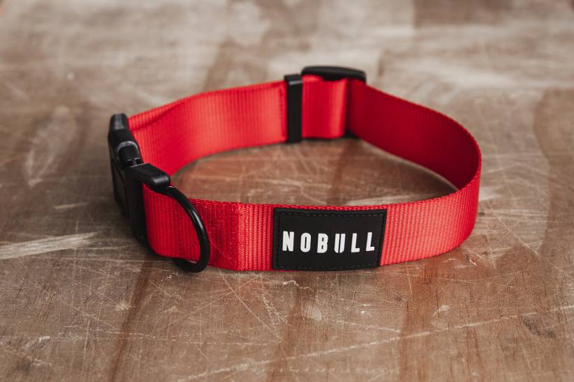 NOBULL 80NJ2964collare per cani (1,5 pollici) rosso