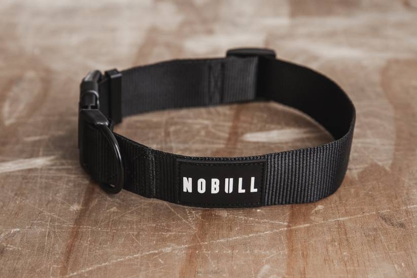 NOBULL 80NJ2965collare per cani (1,5 pollici)